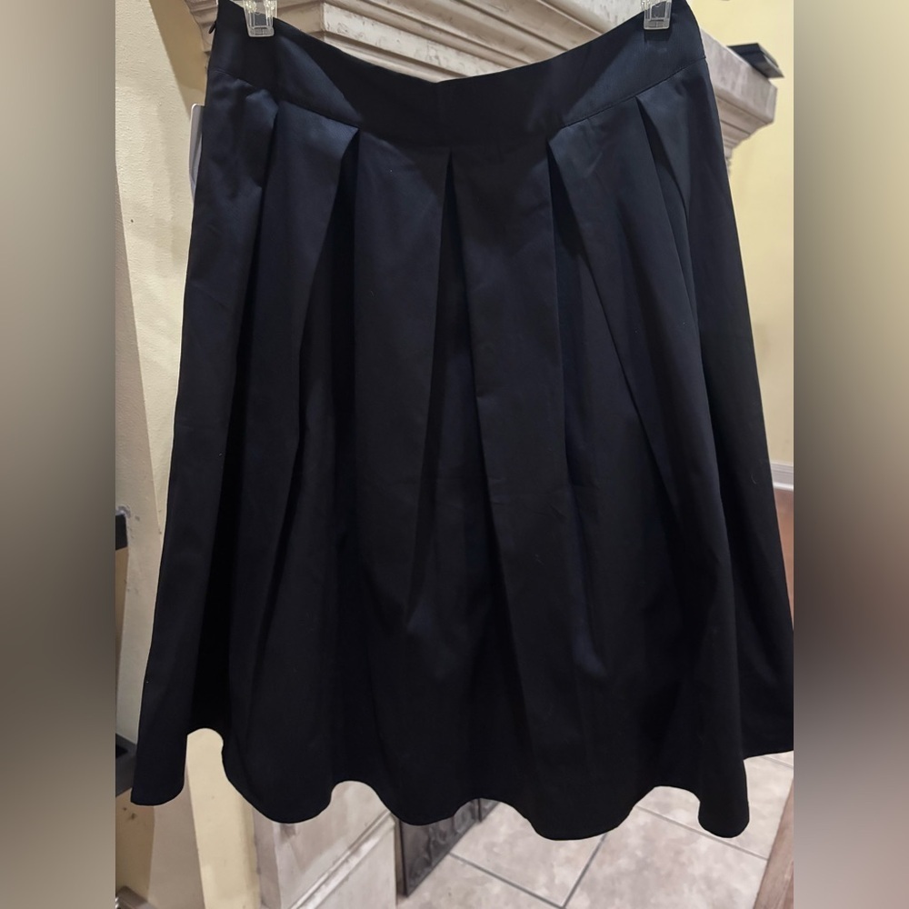 Black Pleated A-Line Skirt Size Medium NWT